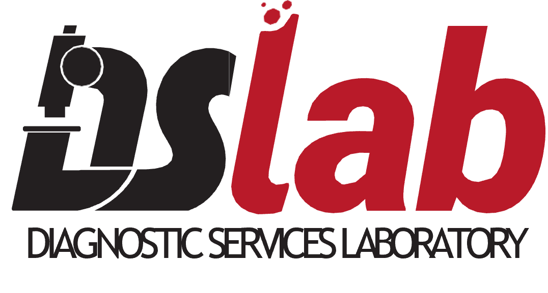 DS Lab Logo